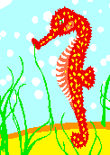 seahorse