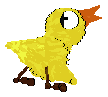 A bird