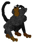 A monkey