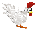 A chicken