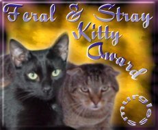 Feral and Stray Kitty Award