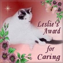 Leslie's Award for Caring