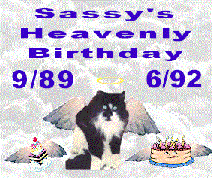 Sassy's Party At Rainbow Bridge