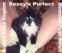 Sassy's Memorial Award From Kitten Kingdom