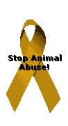 Please help stop animal abuse