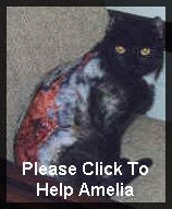 Please help Amelia