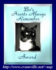 Bo's Hearts Always Remember Award