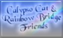 Calypso Cat and Rainbow Bridge Friends Album