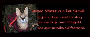 Read Elijah Hope's story