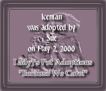 Certificate of Adoption for Iceman