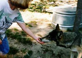 Keeley eating from my hand