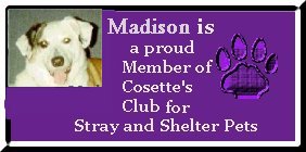 Cosette's Club For Strays and Shelter Pets