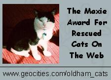 The Maxie Award For Rescued Cats On The Web