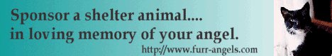 Sponsor an animal at The Furr Angels