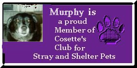 Cosette's Club For Strays and Shelter Pets