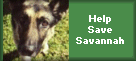 Help Save Savannah