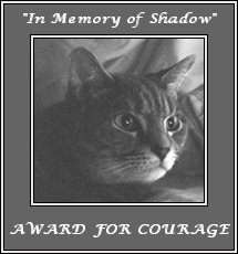 Shadow's Award of Courage