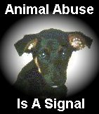 Animal Abuse Is A Signal