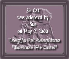 Certificate of Adoption for Sir Cat