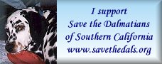 Save The Dalmatian