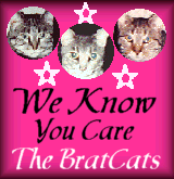 Brat Cats Award