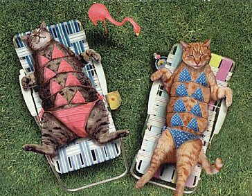 sunbathers