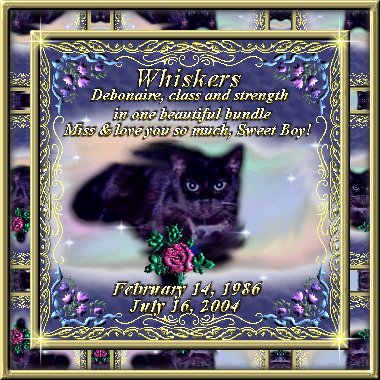 Whiskers Memorial