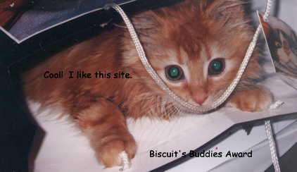 biscuitaward