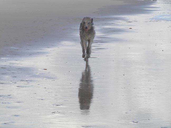 Tessa on the beach