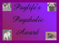 Puglife's Pugaholic Award