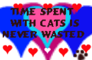 'Time Spent With a Cat Is Never Wasted'