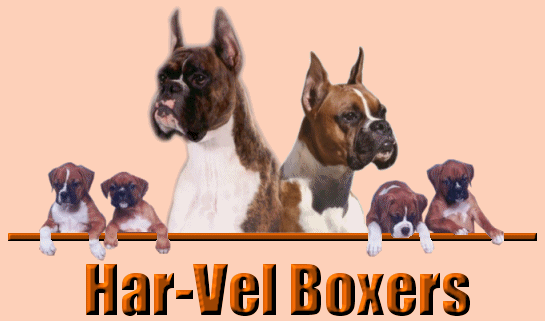 Har-Vel Boxers