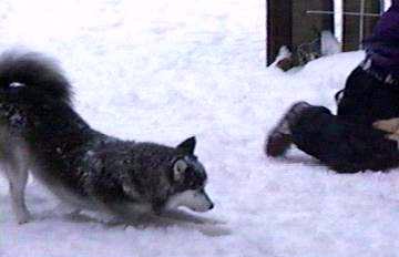 Nika in snow with kids