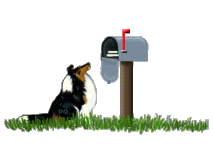 trimailbox.gif (7327 bytes)