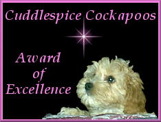 Award Of Excellence