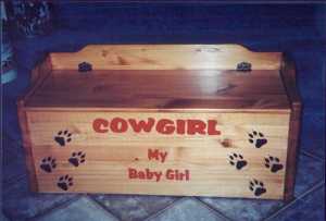 cowgirltoys2.jpg