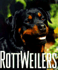 Rottweilers