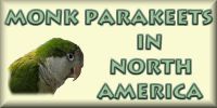 Monk Parakeets in North America