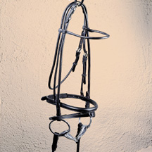 This is our flash noseband bridle.