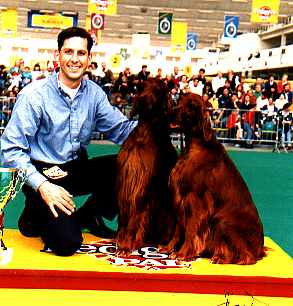 Salem and Slater winning Best Brace In Show, Brussels 1998