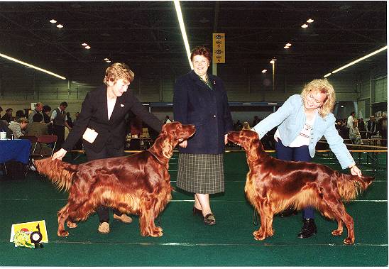 Star winning her first ticket last year under judge Mrs Doppelreiter from Austria. BOB was her father Ch Vicary's US Dollar