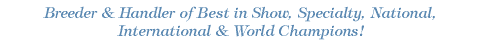 Breeder & Handler of Best in Show, Specialty, National, International & World Champions!
