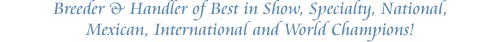 Breeder & Handler of Best in Show, Specialty, National, International & World Champions!