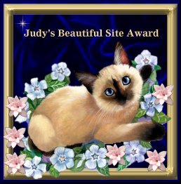 Judys Award - 7