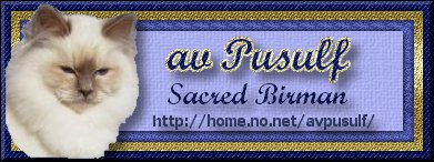 av Pusulf Sacred Birmans