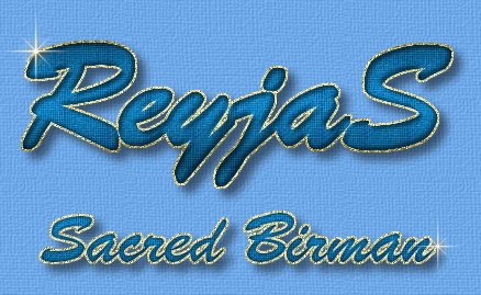 ReyjaS Birmans