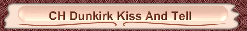 smooch banner