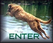 Enter the Chesapeake Bay Retriever website