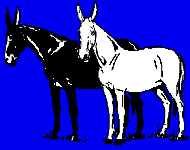 2mules