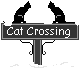 cat crossing gif